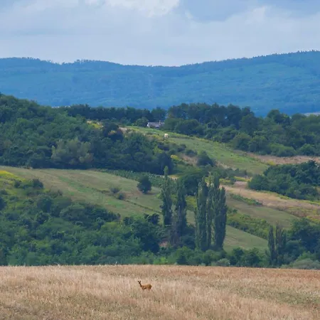 Nyugalomsziget Nyaralohaz * Zalaszentlászló