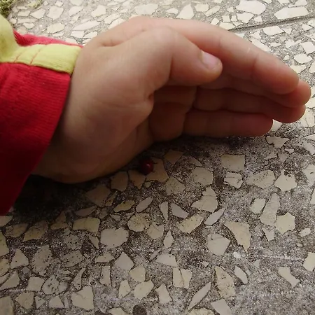 Nyugalomsziget Nyaralohaz Dom wakacyjny *